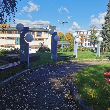Apartment Ornament Lux Vrnjačka Banja Zewnętrze zdjęcie